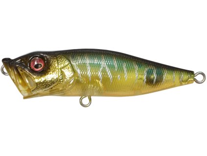 26591722PopX GinTonicTiger