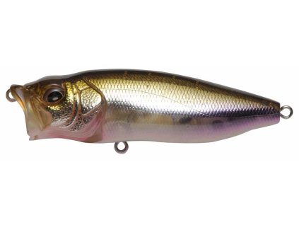 26591725PopMaxHtItoWakasagil