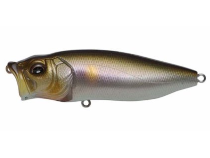 26591727PopMaxPmSetsukiAyu