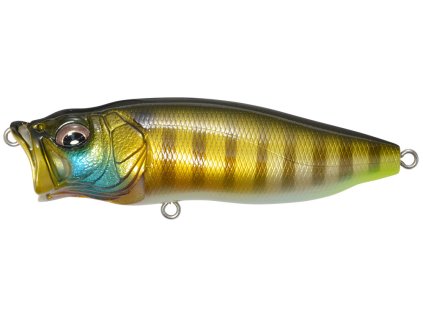 26591728PopMaxPmWildGill