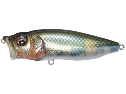 26591729PopMaxTakumiHasu