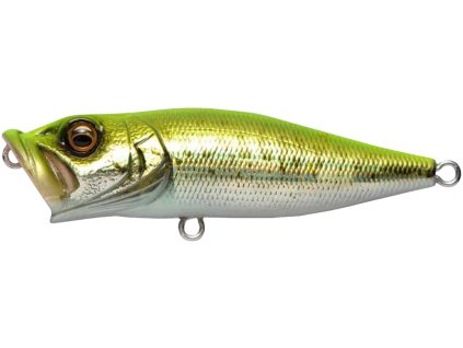 26591712PopX GG ChartBackBass