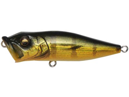 26591713PopX GG Peacock