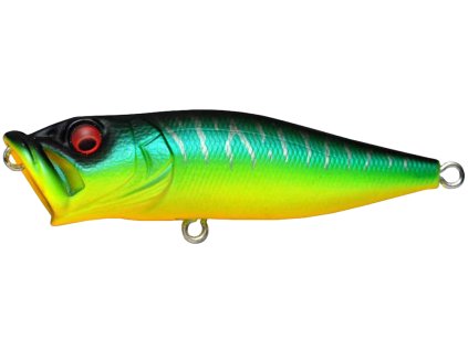 17920602PopX MatTiger