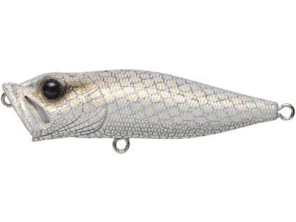 26591720PopX WhitePython