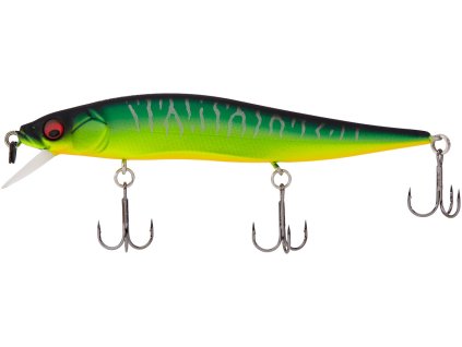 26590560VisionOnetenJr MatTiger