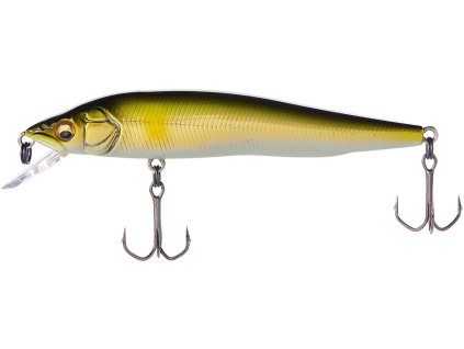 26591988VisionQ GO WakinAyu