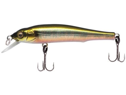 26594049X 70 WaginOikawa 1