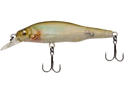 26592953X 80Jr GP InvisibleWakasagi 1