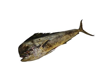 Mahi mahi kuchaná 2-10 kg dle váhy