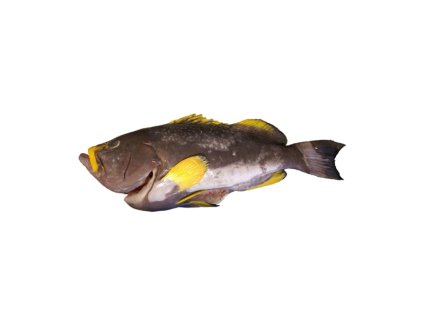Kanic kuchaný 2–5 kg dle váhy