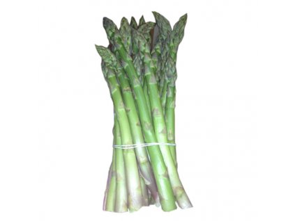 Chřest zelený čerstvý 3 kg