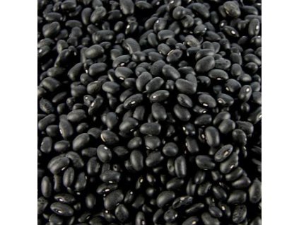 Bohnen, schwarze Mexico Bohnen, getrocknet, 1 kg