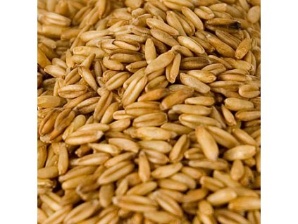 Hafer, ganz, BIO-zertifiziert, 1 kg