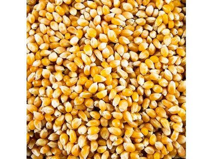 Pop-Corn-Mais, BIO-zertifiziert, 1 kg