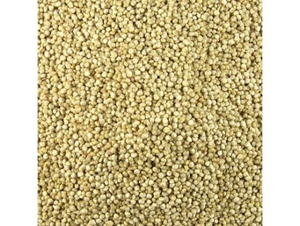 Quinoa, ganz, hell, das Wunderkorn der Inkas, BIO-zertifiziert, 1 kg