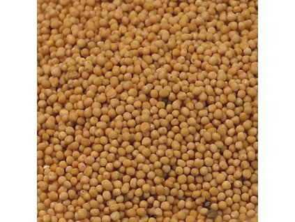 Senfsaat, hell, 1 kg