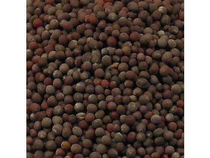 Senfsaat, dunkel, 100 g