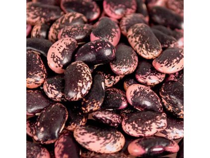 Bohnen, Käferbohnen, groß, rot-schwarz-violett, getrocknet, aus Österreich, 1 kg