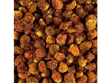 Kapstachelbeeren/ Physalis, getrocknet, 1 kg