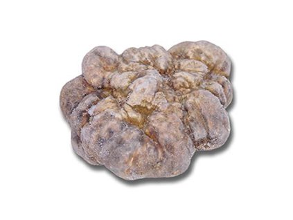 Weißer Trüffel - tuber magnatum pico, Italien, bei -80C schockgefrostet, TK, pro Gramm