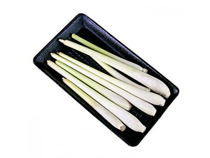 Zitronengras, ca. 17cm lang, frisch, 100 g