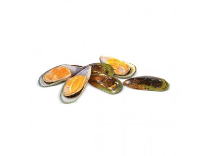 Mušle slávky půlené Nový Zéland 30–40 ks/kg