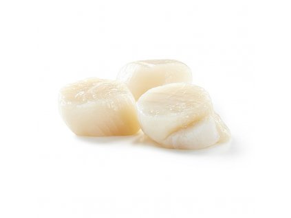 Kanadische Jakobsmuscheln, Größe L, 22-44 Stück, 1 kg, TK, 1 kg
