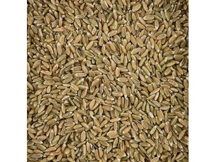 Zelená špalda, celá, 500 g