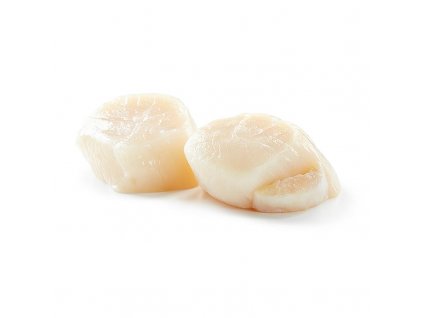 Kanadské mušle, hřebenatky, velikost XL, cca 6 kusů, mražené, 250 g