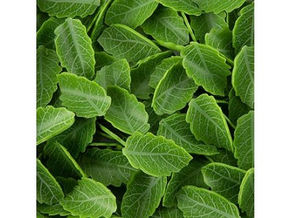 Zelené listy, rolované, vyrobené z čokolády, Dobla, 115 g, 144 ks