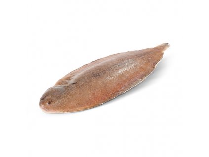 Jazyk mořský 600–800 g