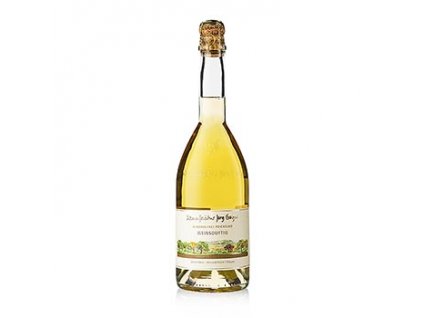 Jörg Geiger bez alkoholu perlivé  "weißduftig", 750 ml