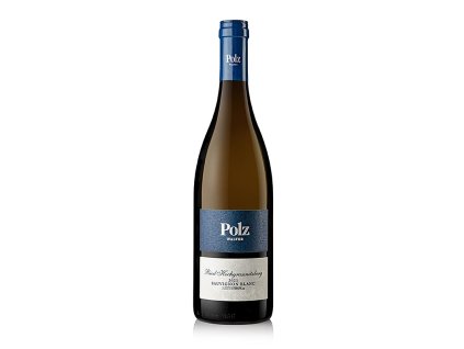 Sauvignon Blanc suchý, Hochgrassnitzberg 2021, 750 ml
