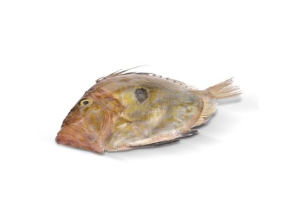 Ryba svatého Petra 1–2 kg dle váhy