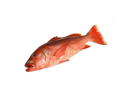 Red snapper celý kuchaný 2–5 kg dle váhy
