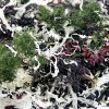 Kaiso Dried Seaweed Mix, Seetang getrocknet, 6 Algensorten für Kaiso Salat, 100 g