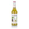 Monin Piňa Colada, 700 ml