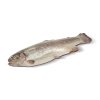 Pstruh duhový kuchaný 200–350 g