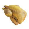 Perlička