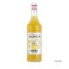 Citronová šťáva MONIN 1 l