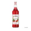 Melounový sirup MONIN 1 l