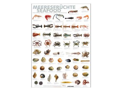 Port Culinaire - Küchenposter Meeresfrüchte (59,4 x 84cm), St