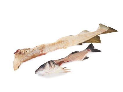 Snímek obrazovky 2026 02 09 132015