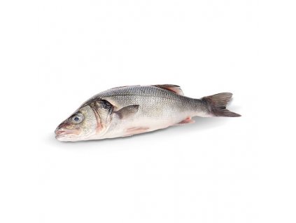 232 1 vlk morsky 300 400 g