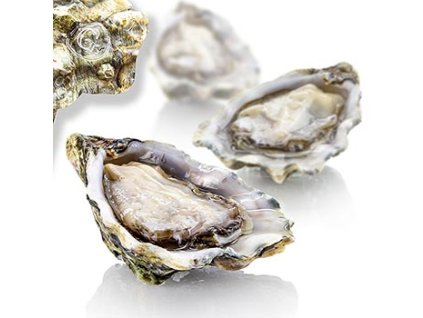 Čerstvé ústřice - Gillardeau N3, průměr cca 100 g, 48 ks