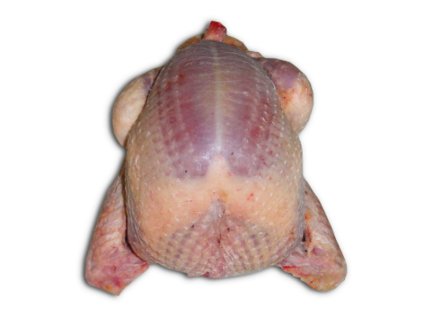 2068 1 holub bez hlavy a behaku