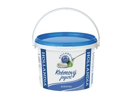 1609 jogurt kremovy boruvka