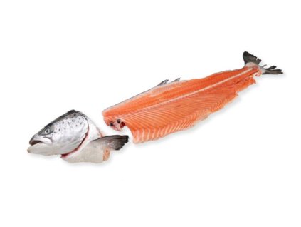 Snímek obrazovky 2026 02 09 132058