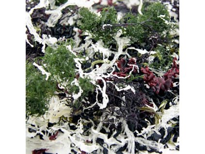 Kaiso Dried Seaweed Mix, Seetang getrocknet, 6 Algensorten für Kaiso Salat, 100 g